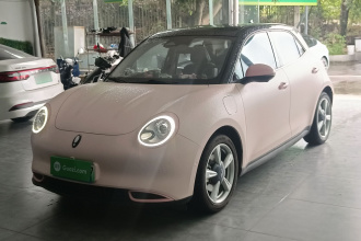 欧拉好猫 2021款 400km标准续航 雅典娜版 磷酸铁锂