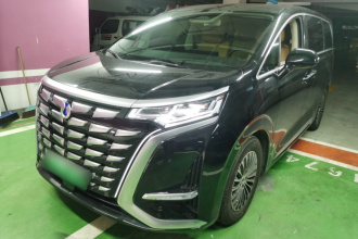 腾势D9 2024款 DM-i 980 四驱尊荣型