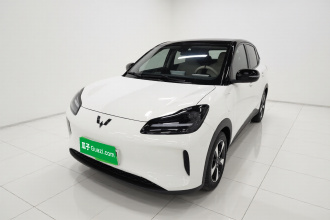五菱汽车 五菱缤果PLUS 2024款 510km 五座版