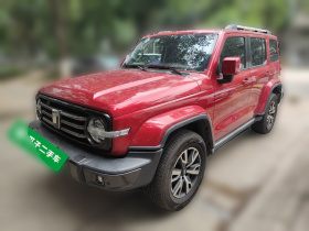 坦克300 2021款 城市版 2.0T 很有型