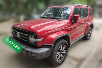 坦克300 2021款 城市版 2.0T 很有型