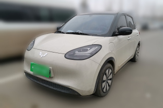 五菱汽车 五菱缤果 2024款 333km 悦享款