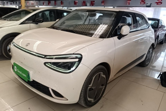 东风纳米 纳米01 2024款 430 Plus