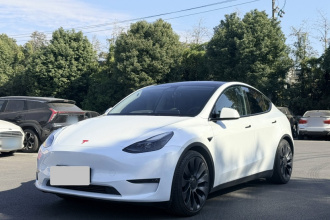 特斯拉 Model Y 2022款 Performance高性能全轮驱动版