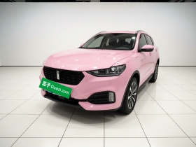 魏牌 VV6 2018款 2.0T 两驱旗舰型 国V