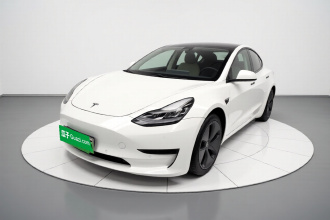 特斯拉 Model 3 2020款 标准续航后驱升级版