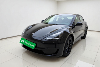 特斯拉 Model 3 2021款 改款 标准续航后驱升级版 3D1