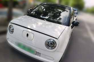 欧拉黑猫 2021款 301km 萌宠版