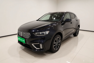 魏牌 VV5 2021款 1.5T 两驱智先锋