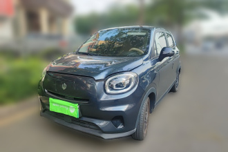 零跑汽车 零跑T03 2023款 310轻享版