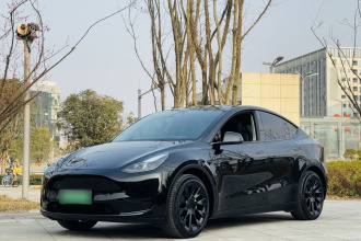 特斯拉 Model Y 2022款 改款 长续航全轮驱动版
