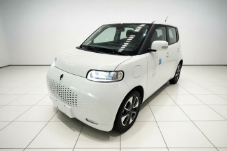 欧拉白猫 2020款 305km 豪华型