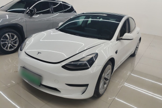特斯拉 Model 3 2021款 标准续航后驱升级版
