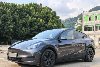 特斯拉 Model Y 2024款 后轮驱动版