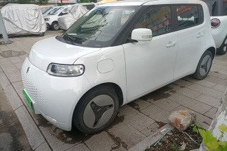 欧拉白猫 2020款 360km 豪华型