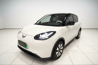 五菱汽车 五菱缤果 2024款 410km 灵犀尊享款