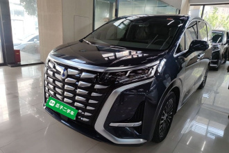 腾势D9 2022款 DM-i 1040 尊贵型