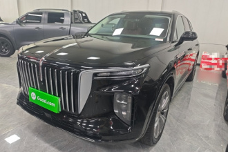 红旗E-HS9 2021款 460km 旗享版 六座