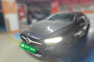 奔驰CLS 2020款 CLS 300 豪华型