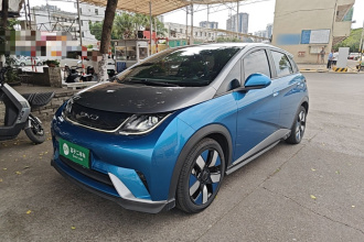 比亚迪 海豚 2021款 401km 骑士版