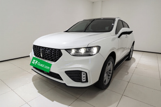 魏牌 VV5 2020款 1.5T 两驱颜先锋
