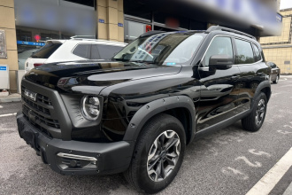 哈弗大狗 2024款 2.0T DCT中华田园犬版