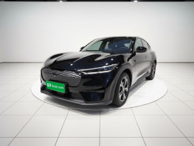 福特电马 2021款 跃世后驱版(标准续航)