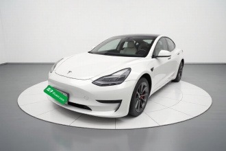 特斯拉 Model 3 2021款 标准续航后驱升级版