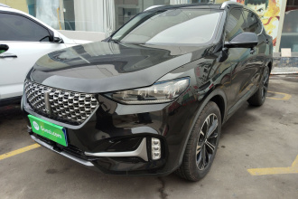 魏牌 VV6 2021款 2.0T 两驱智护+