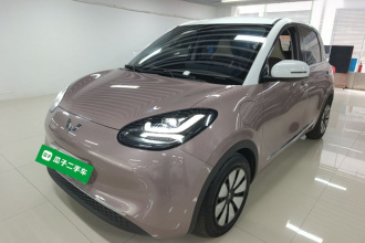 五菱汽车 五菱缤果 2023款 333km 灵犀互联款