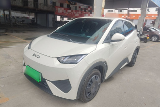 比亚迪 海鸥 2025款 305km 活力版