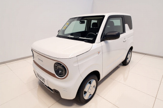 吉利银河 2024款 熊猫mini 200km 耐力熊