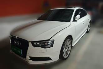 奥迪A5 2013款 Sportback 40 TFSI风尚版