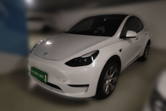 特斯拉 Model Y 2021款 长续航全轮驱动版 3D7