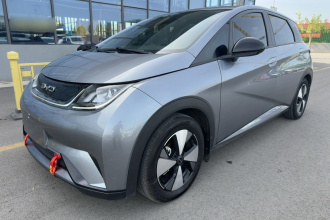 比亚迪 海豚 2023款 420km 自由版