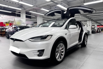 特斯拉 Model X 2019款 Performance 高性能版