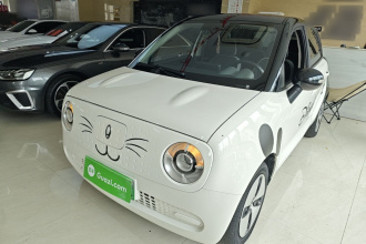 欧拉黑猫 2021款 301km 基础型