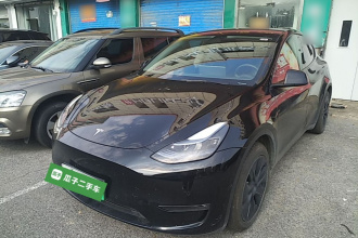 特斯拉 Model Y 2023款 长续航全轮驱动版