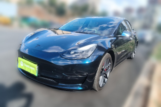 特斯拉 Model 3 2022款 Performance高性能全轮驱动版