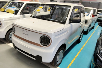 吉利银河 2024款 熊猫mini 200km 耐力熊