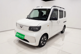 五菱汽车 五菱之光新能源 2025款 305km 进取型