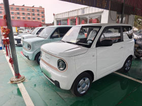 吉利银河 2024款 熊猫mini 200km 耐力熊