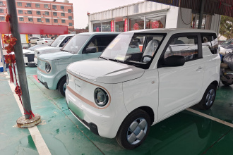 吉利银河 2024款 熊猫mini 200km 耐力熊