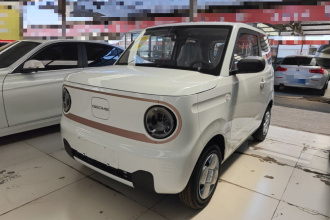 吉利银河 2024款 熊猫mini 200km 耐力熊