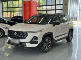 宝骏RS-5 2019款 1.5T CVT智能驾控尊贵版 国VI