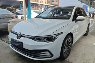 大众 高尔夫 2021款 280TSI DSG Pro