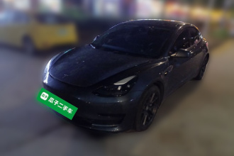 特斯拉 Model 3 2022款 后轮驱动版