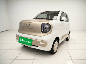 奔腾小马 2024款 170km 活力马