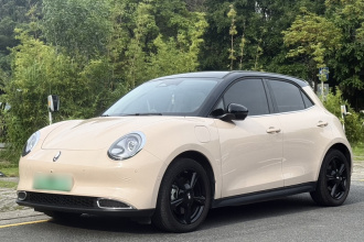 欧拉好猫 2024款 401km 尊荣型 135kW