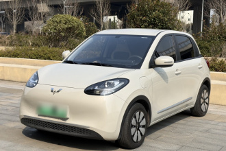 五菱汽车 五菱缤果 2023款 333km 快享款